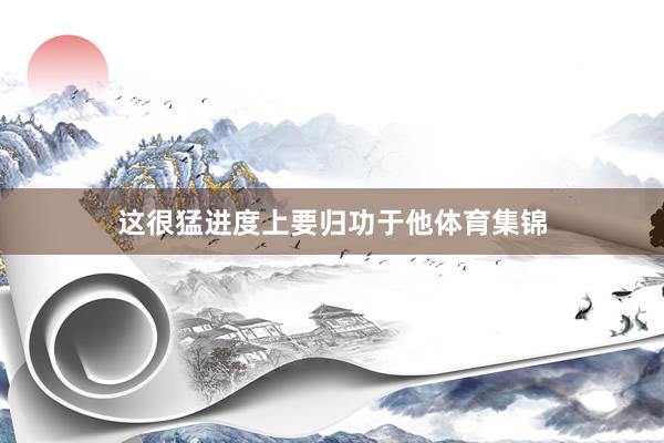 这很猛进度上要归功于他体育集锦