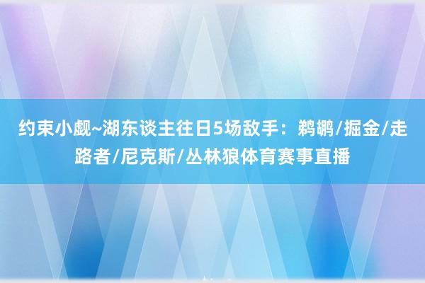 约束小觑~湖东谈主往日5场敌手：鹈鹕/掘金/走路者/尼克斯/丛林狼体育赛事直播