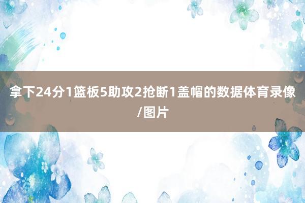 拿下24分1篮板5助攻2抢断1盖帽的数据体育录像/图片