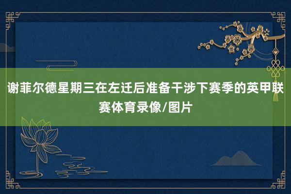谢菲尔德星期三在左迁后准备干涉下赛季的英甲联赛体育录像/图片