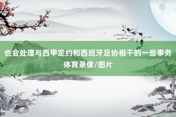 也会处理与西甲定约和西班牙足协相干的一些事务体育录像/图片