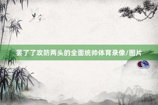 罢了了攻防两头的全面统帅体育录像/图片