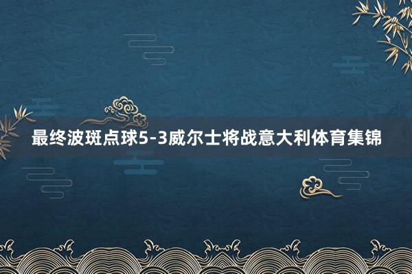 最终波斑点球5-3威尔士将战意大利体育集锦