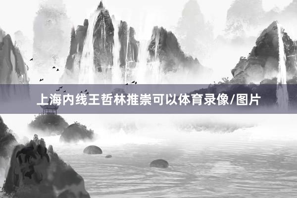 上海内线王哲林推崇可以体育录像/图片