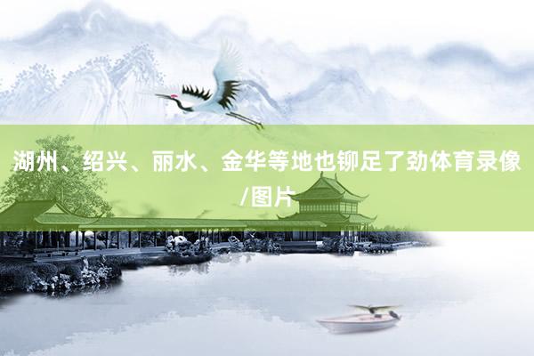 湖州、绍兴、丽水、金华等地也铆足了劲体育录像/图片