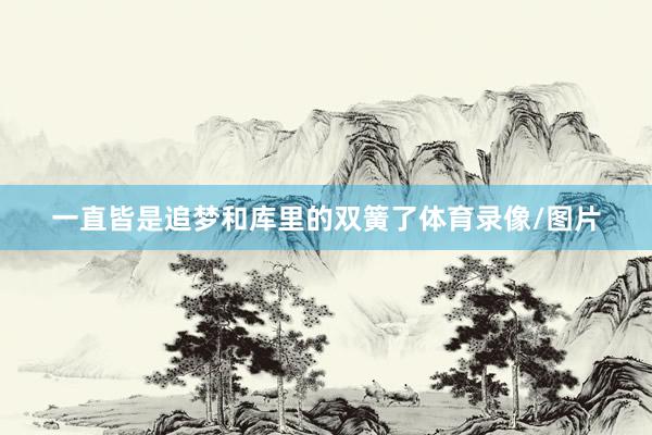 一直皆是追梦和库里的双簧了体育录像/图片