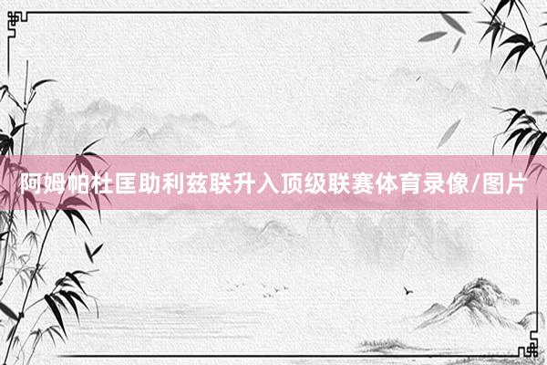 阿姆帕杜匡助利兹联升入顶级联赛体育录像/图片