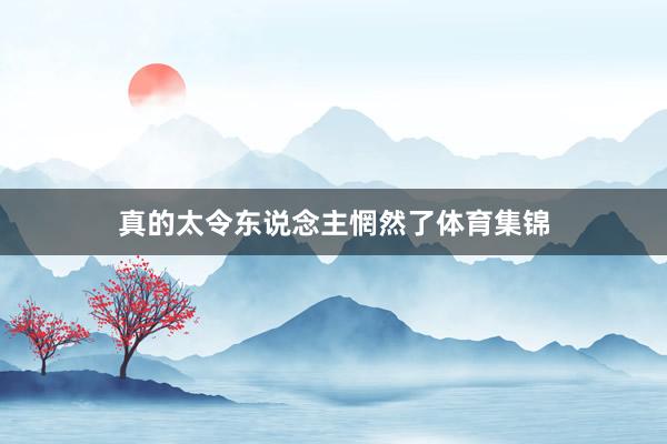 真的太令东说念主惘然了体育集锦