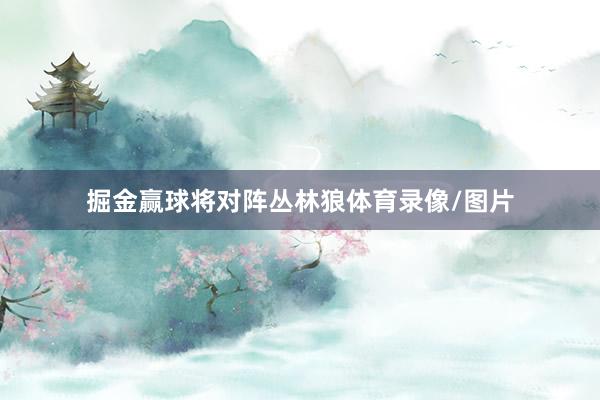 掘金赢球将对阵丛林狼体育录像/图片