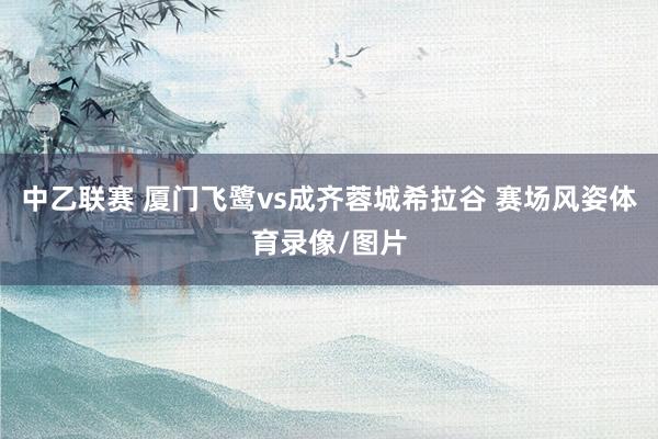 中乙联赛 厦门飞鹭vs成齐蓉城希拉谷 赛场风姿体育录像/图片