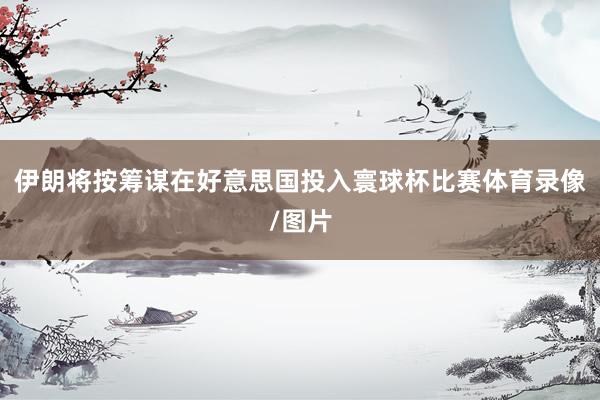 伊朗将按筹谋在好意思国投入寰球杯比赛体育录像/图片