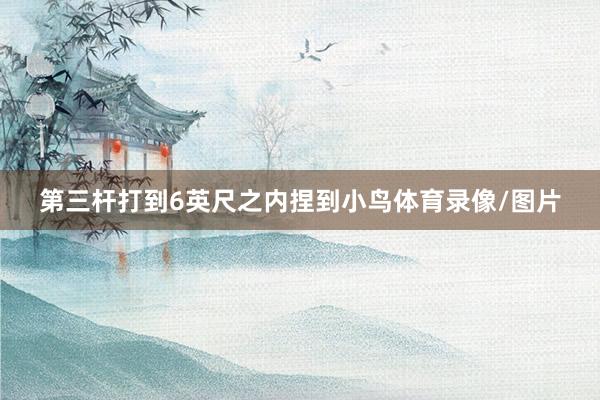 第三杆打到6英尺之内捏到小鸟体育录像/图片