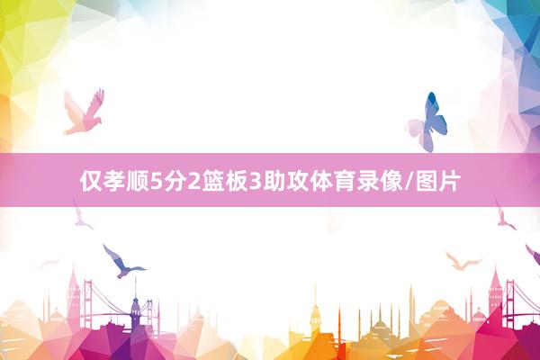 仅孝顺5分2篮板3助攻体育录像/图片