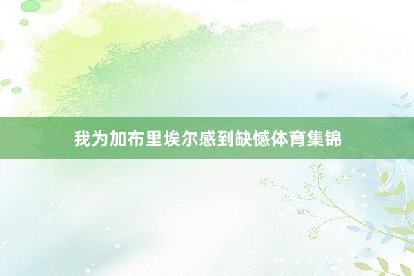 我为加布里埃尔感到缺憾体育集锦