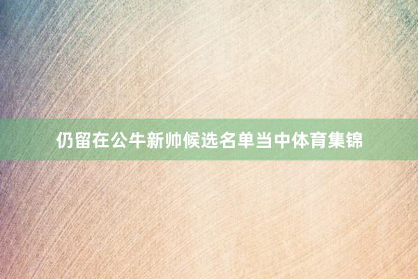仍留在公牛新帅候选名单当中体育集锦