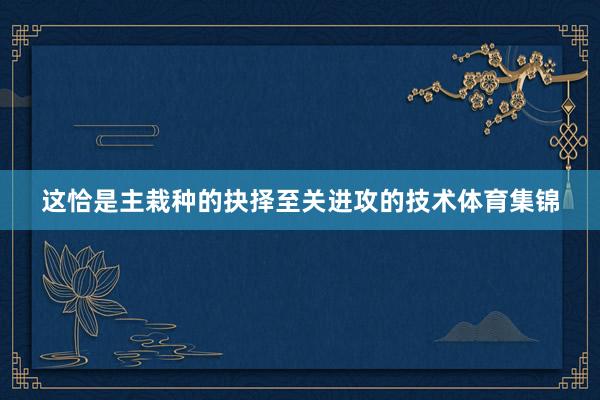 这恰是主栽种的抉择至关进攻的技术体育集锦