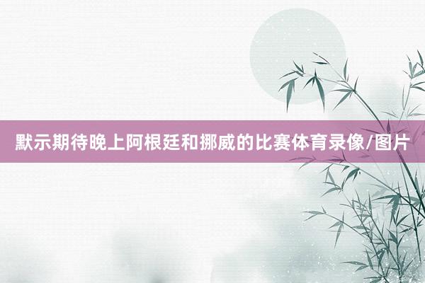 默示期待晚上阿根廷和挪威的比赛体育录像/图片